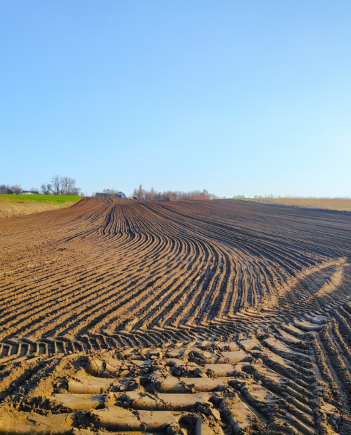 Akkerbouw: 2.000 kg lavameel per hectare, en meer op uitgeputte grond